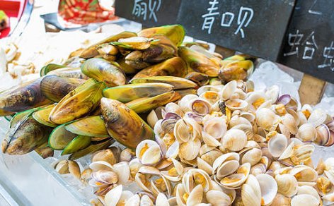 花甲是一種非常鮮美的海鮮食材又被稱(chēng)為蛤蜊