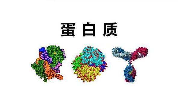 國大研究人員發(fā)現(xiàn)促進化療耐藥的蛋白質