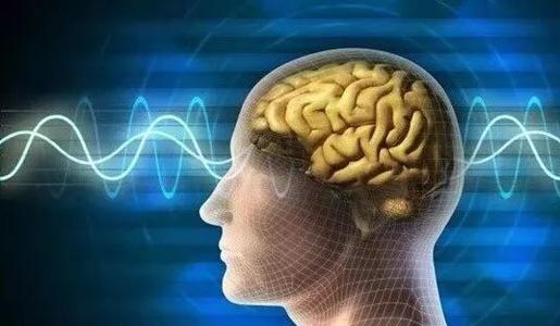 研究人員發(fā)現(xiàn)大腦中感覺(jué)靈活性的起源