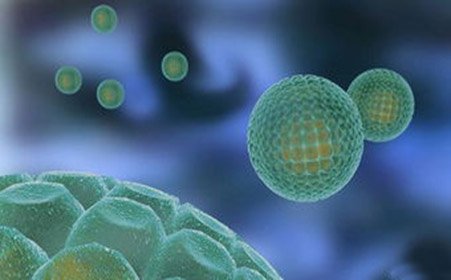 研究發(fā)現(xiàn)2型糖尿病會增加肝臟疾病的風險