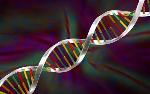 科學家已經(jīng)在新型患者的糞便中檢測到了新的RNA