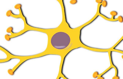 科學家在患有脊髓損傷和視神經損傷的小鼠中再生神經元