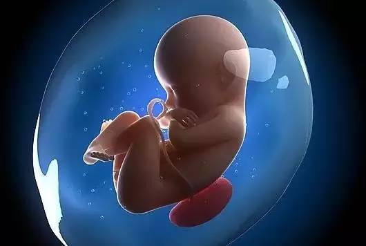 子宮內(nèi)暴露于艾滋病毒的藥物可能會增加兒童小頭畸形與發(fā)育遲緩的風險