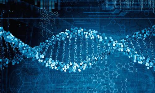 單個(gè)基因的不同突變可對(duì)腦細(xì)胞造成多種破壞