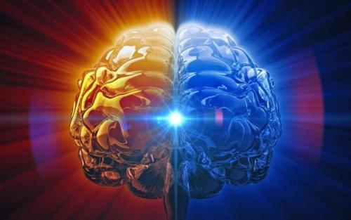 神經(jīng)科學(xué)家研究結(jié)果表明兒童的大腦可能沒(méi)有預(yù)期的那么薄