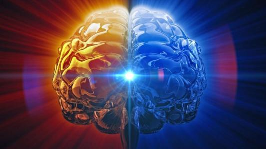 密西根大學的研究發(fā)現(xiàn)在決策過程中大腦內的亞細胞計算
