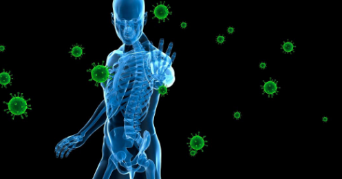 研究發(fā)現免疫系統如何知道要攻擊哪些微生物