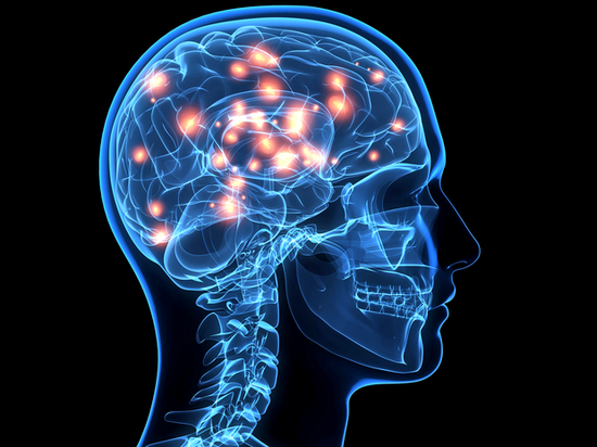 神經(jīng)科學家研究大腦如何控制聲音