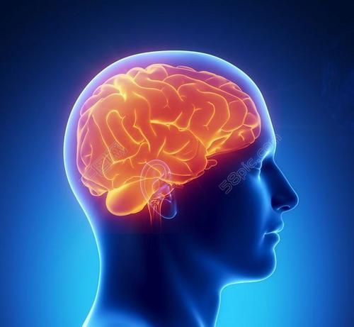 科學家發(fā)現(xiàn)大腦對感覺刺激的敏感性取決于心動周期