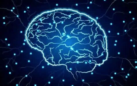最新研究表明氣味會(huì)改變大腦記憶的處理方式