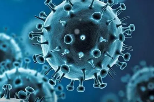 NIH對(duì)HIV治愈研究進(jìn)行大量新投資