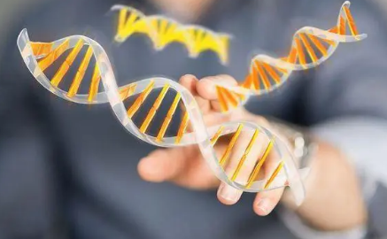 有針對性的前列腺癌篩查可以使患有遺傳性癌癥綜合征的男性受益