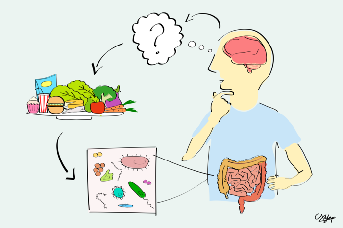 自閉癥患者的腸道微生物群差異可能是由于飲食偏好