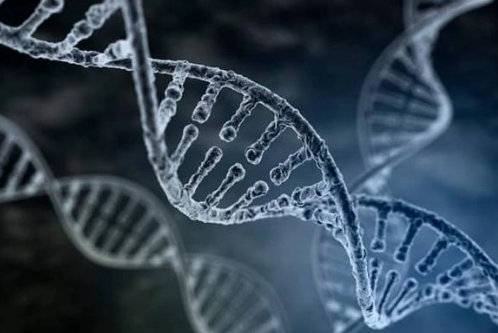 科學家可能需要重新思考基因組學如何影響強迫癥的風險