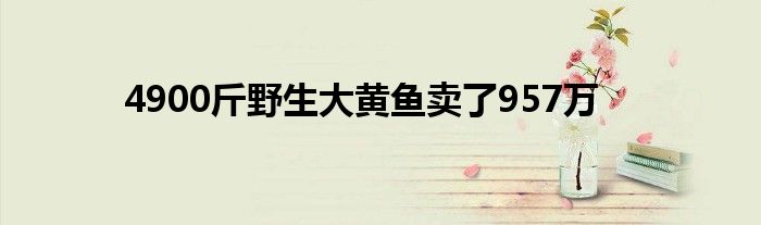 4900斤野生大黃魚賣了957萬