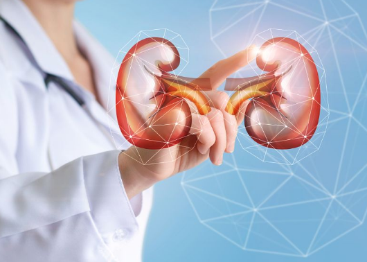 光學成像突出了使胰腺腫瘤細胞生長的代謝相互作用