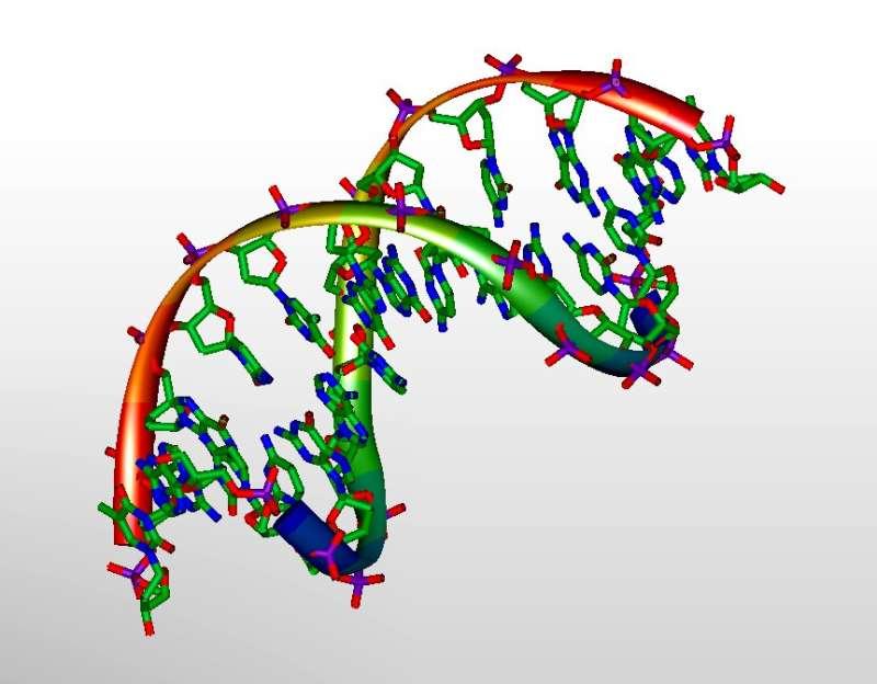 新的詳細免疫分析方法僅使用血液中的 DNA