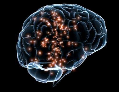 3月1日團隊使用 MRI 對大腦中的表觀遺傳學(xué)進行成像