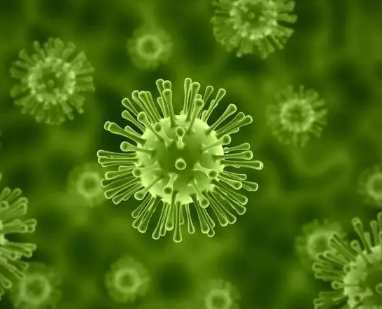研究人員通過基因工程設(shè)計了一種用于治療性細菌的微生物封裝系統(tǒng)