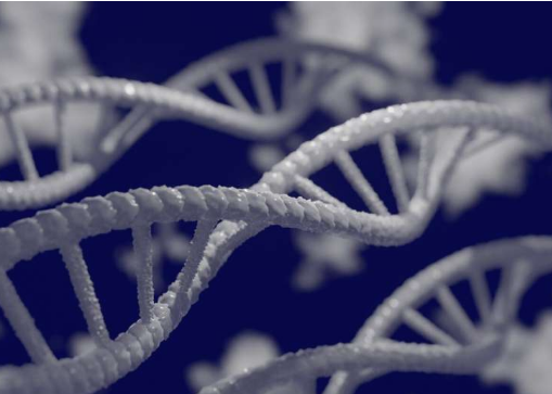 繪圖研究對 DNA-蛋白質(zhì)連接產(chǎn)生了新的見解
