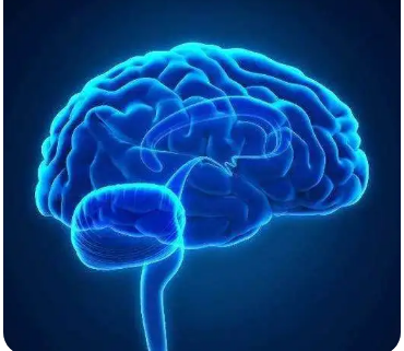 小型研究發(fā)現(xiàn)大流行性窘迫可能會影響胎兒大腦發(fā)育