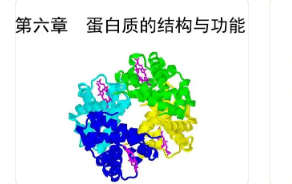 蛋白質組學方法有助于識別可以改善前驅糖尿病檢測的蛋白質特征