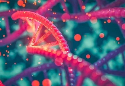 麻省理工學(xué)院的研究人員開發(fā)了用于肝臟全基因組研究的新技術(shù)