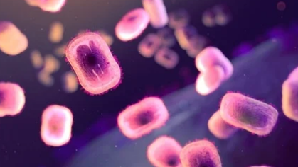 編碼猴痘病毒蛋白的新型 mRNA 疫苗在臨床前研究中顯示出前景