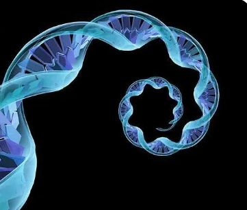 科學(xué)家開(kāi)發(fā)出 RNA 靶向策略來(lái)修復(fù) ALS 和癡呆癥的遺傳原因