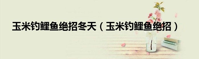 玉米釣鯉魚(yú)絕招冬天(玉米釣鯉魚(yú)絕招)