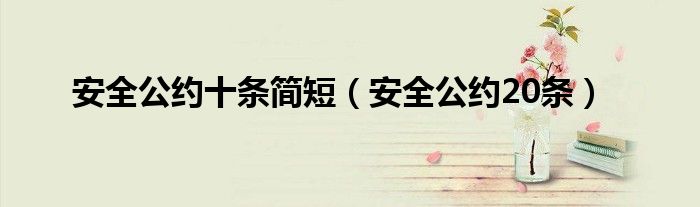 安全公約十條簡短（安全公約20條）