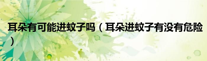 耳朵有可能進(jìn)蚊子嗎（耳朵進(jìn)蚊子有沒有危險(xiǎn)）