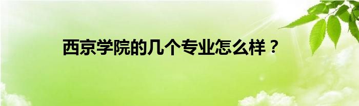 西京學院的幾個專業(yè)怎么樣？