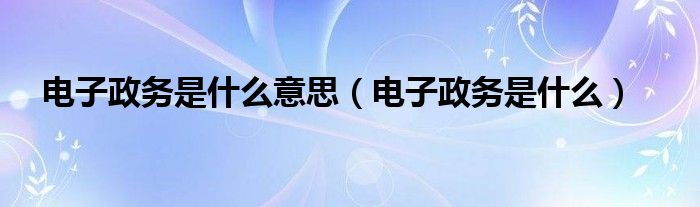 電子政務是什么意思（電子政務是什么）
