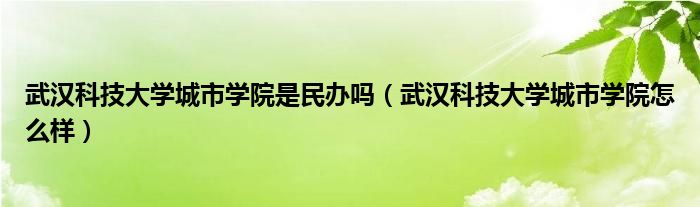 武漢科技大學(xué)城市學(xué)院是民辦嗎(武漢科技大學(xué)城市學(xué)院怎么樣)