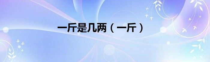 一斤是幾兩（一斤）
