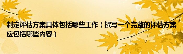 制定評(píng)估方案具體包括哪些工作（撰寫(xiě)一個(gè)完整的評(píng)估方案應(yīng)包括哪些內(nèi)容）