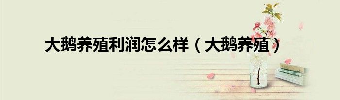 大鵝養(yǎng)殖利潤怎么樣（大鵝養(yǎng)殖）