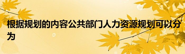根據(jù)規(guī)劃的內(nèi)容公共部門人力資源規(guī)劃可以分為