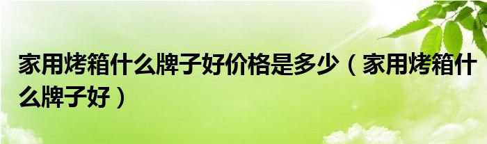 家用烤箱什么牌子好價格是多少（家用烤箱什么牌子好）