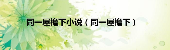 同一屋檐下小說(shuō)（同一屋檐下）