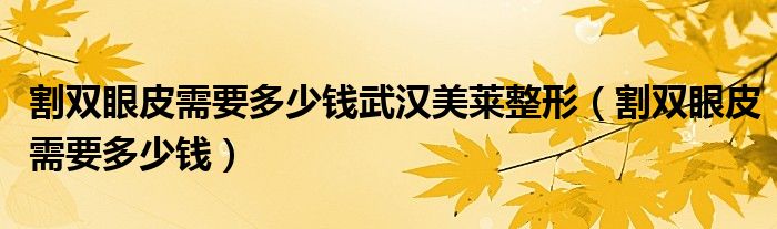 割雙眼皮需要多少錢武漢美萊整形（割雙眼皮需要多少錢）