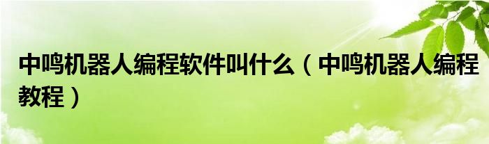 中鳴機(jī)器人編程軟件叫什么（中鳴機(jī)器人編程教程）