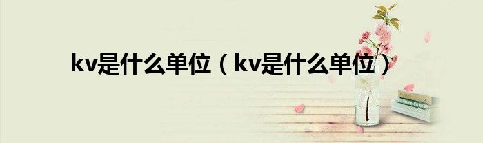 kv是什么單位（kv是什么單位）