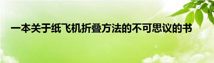一本關(guān)于紙飛機(jī)折疊方法的不可思議的書