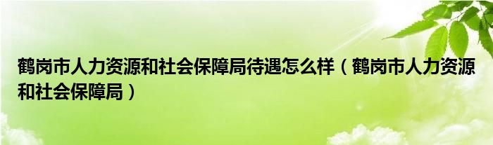 鶴崗市人力資源和社會保障局待遇怎么樣（鶴崗市人力資源和社會保障局）
