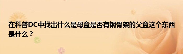在科普DC中找出什么是母盒是否有鋼骨架的父盒這個東西是什么？