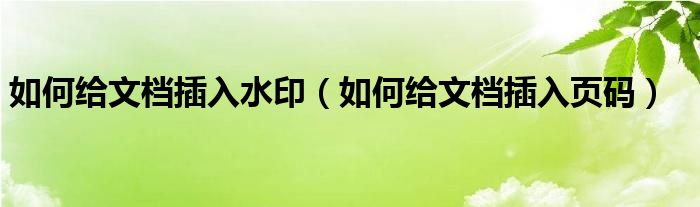 如何給文檔插入水?。ㄈ绾谓o文檔插入頁碼）