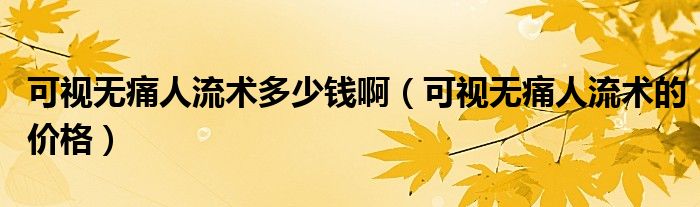 可視無痛人流術(shù)多少錢啊（可視無痛人流術(shù)的價(jià)格）
