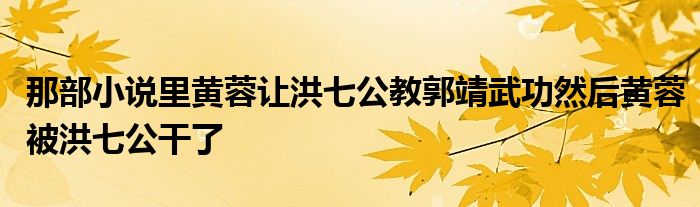 那部小說里黃蓉讓洪七公教郭靖武功然后黃蓉被洪七公干了